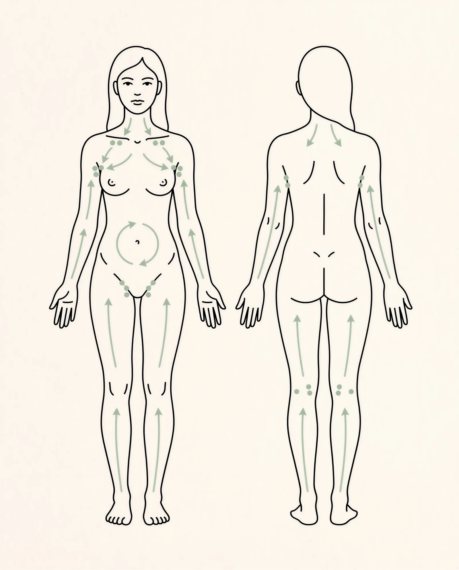 Full-body lymphatic drainage direction map