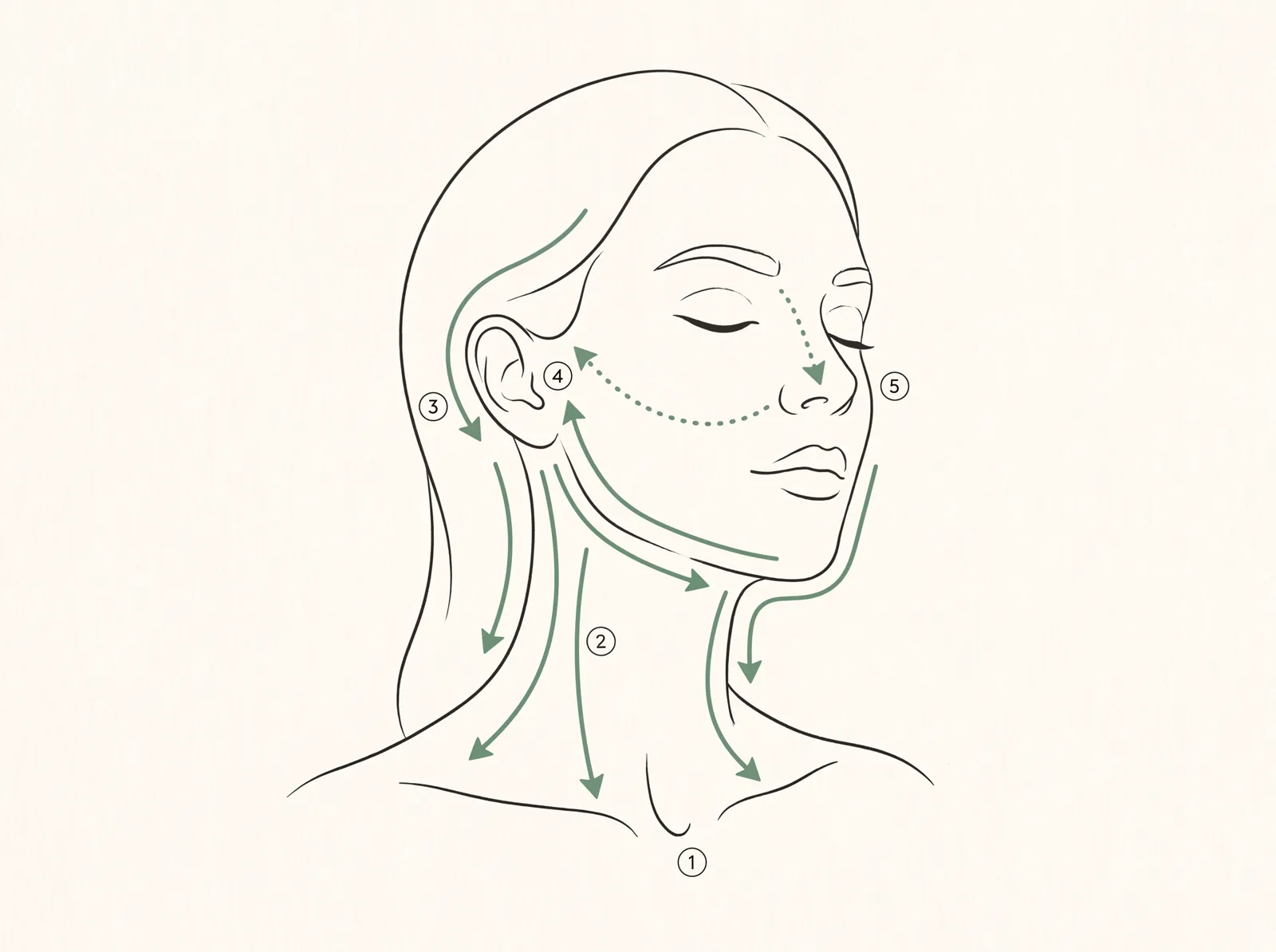 Neck lymphatic drainage map: collarbone hollows, side of the neck, behind the ears, jawline, and the sinus path from nose to ears to collarbone